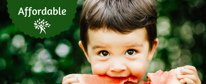 healthy meals for kids