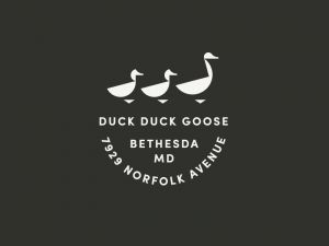 duck_duck_goose_j_fletcher_dribbble