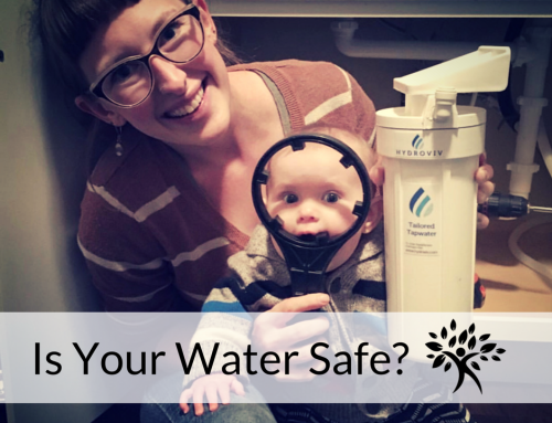 Best Home Water Filter on the Market