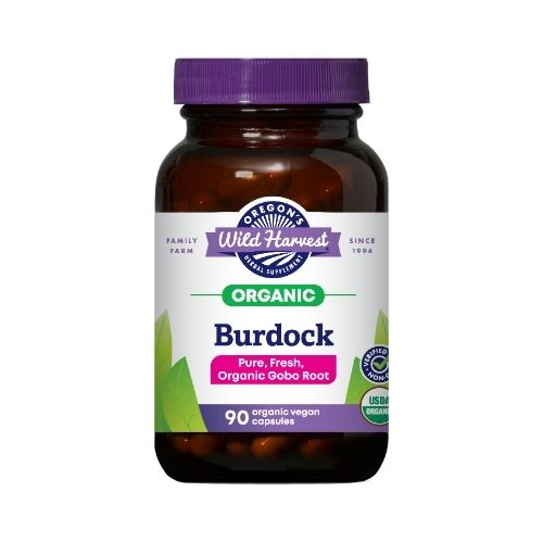 Burdock Root