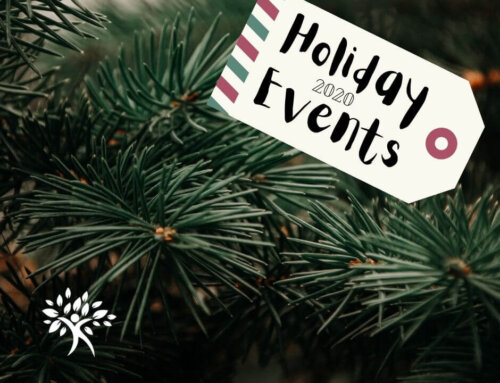 Orange County Christmas Events