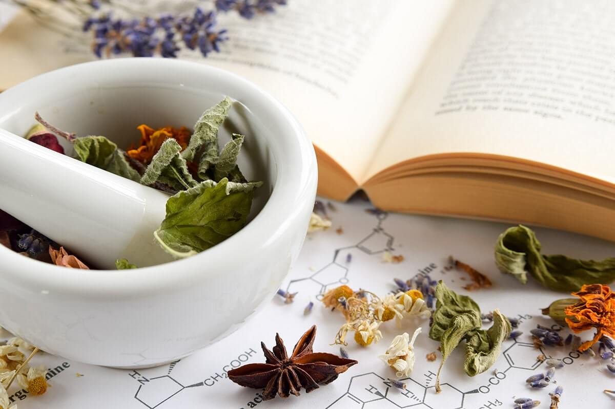 Alternative medicine with dried herbs using motar and peste, and book on science sheet