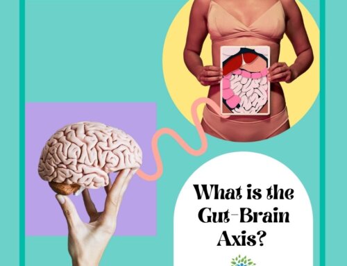 What is the Gut-Brain Axis?