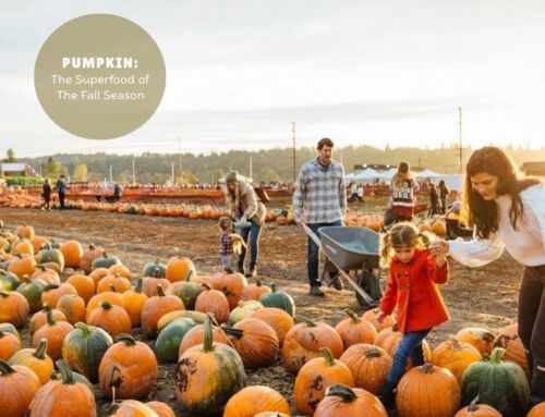 Pumpkin: The Superfood of the Fall Season